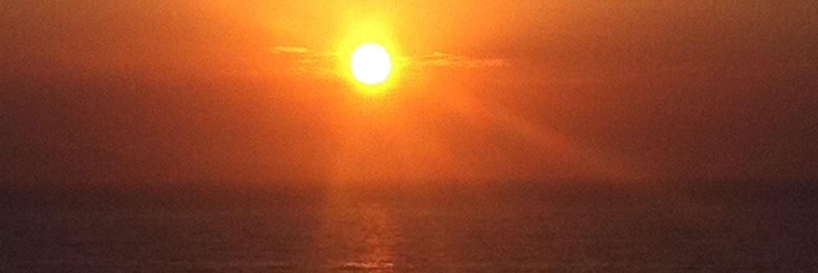 ElisaLAfflitto's profile banner image