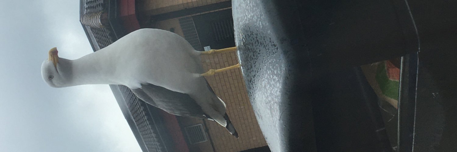 Jack Lewis Evans banner