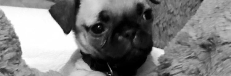 brendadr5's profile banner image