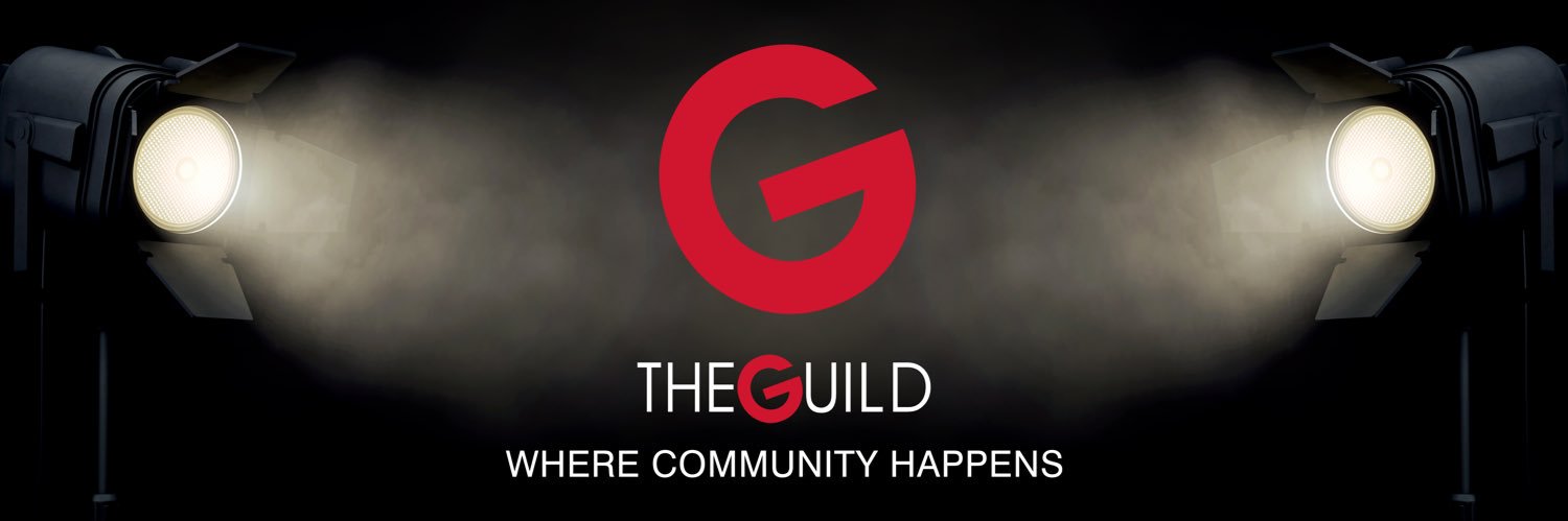 The Guild banner