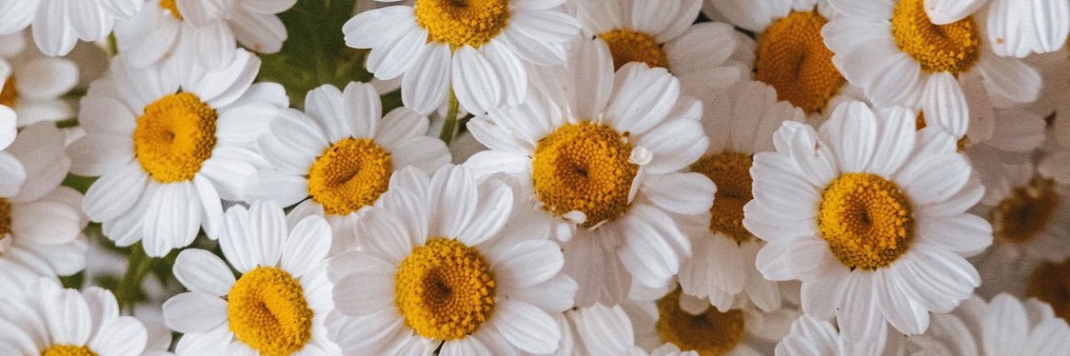 ValeeComisso's profile banner image
