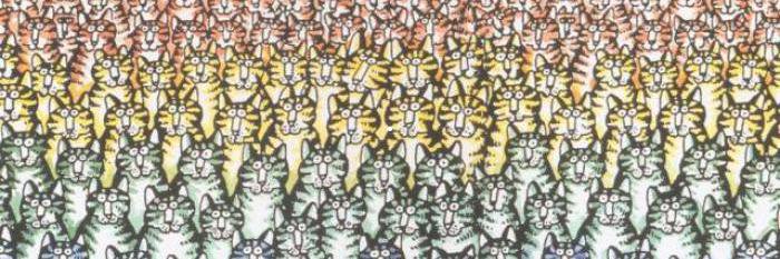 KOT_manul's profile banner image