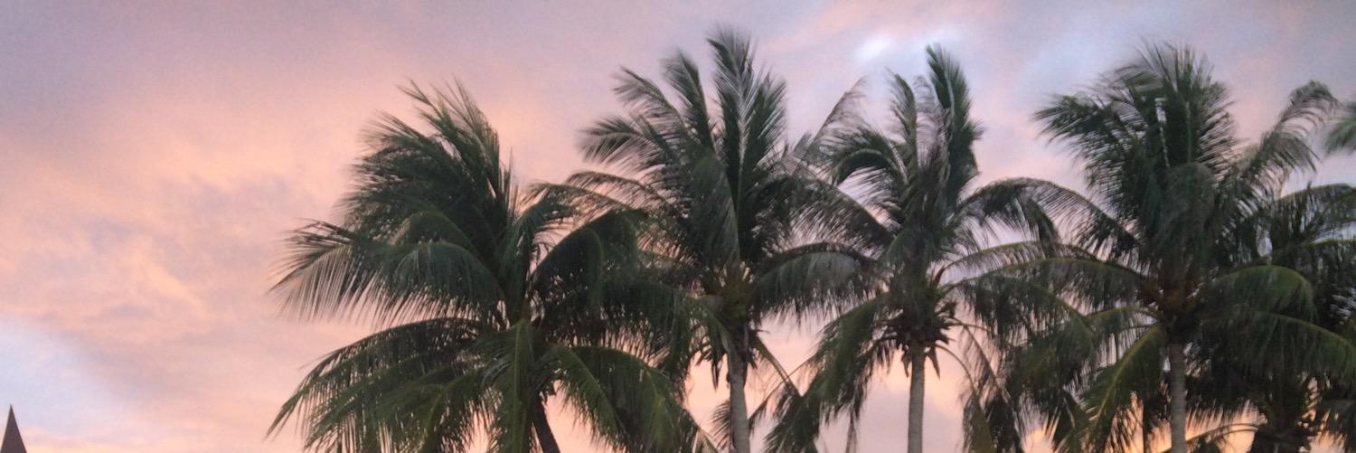 JessyyyT's profile banner image