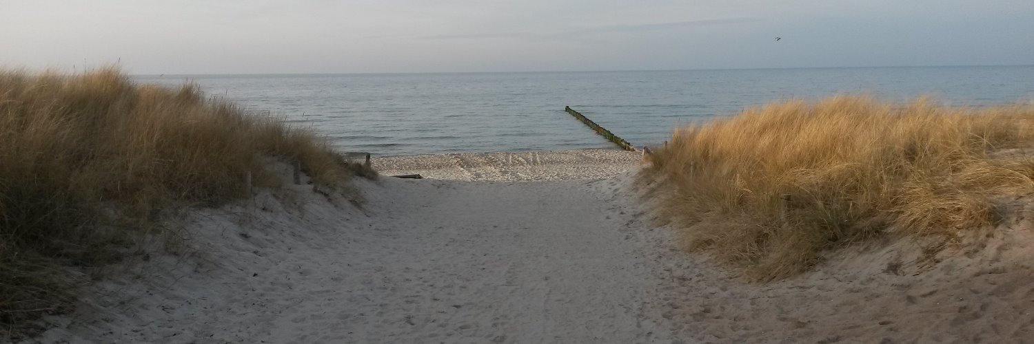 Ditte55's profile banner image