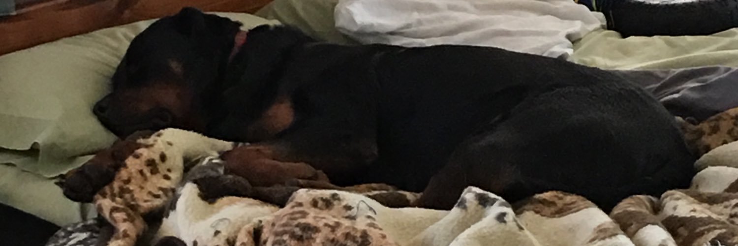 MMoppin's profile banner image