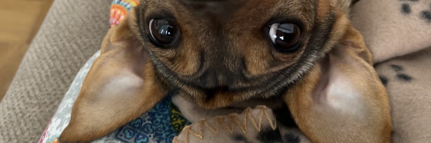 andreateijeiiro's profile banner image