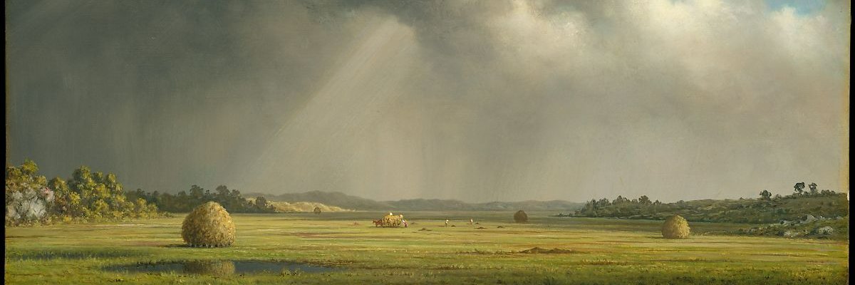 ScottyLachlan's profile banner image