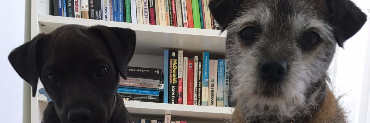 ClosedBridgingF's profile banner image