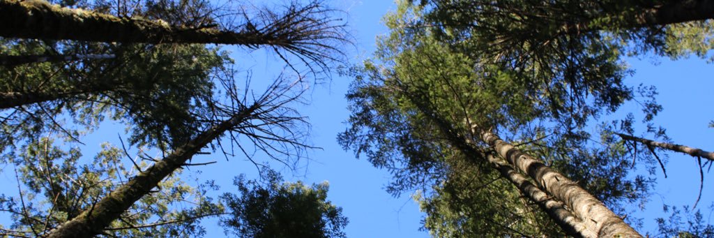 albraden's profile banner image