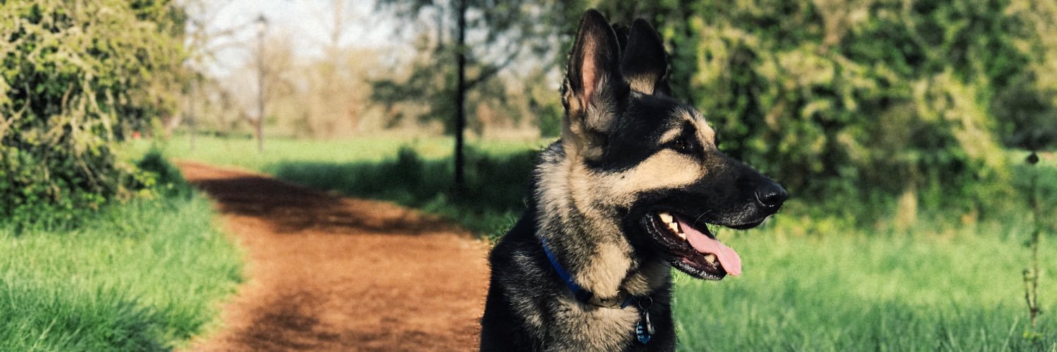 CourtneyPandol's profile banner image