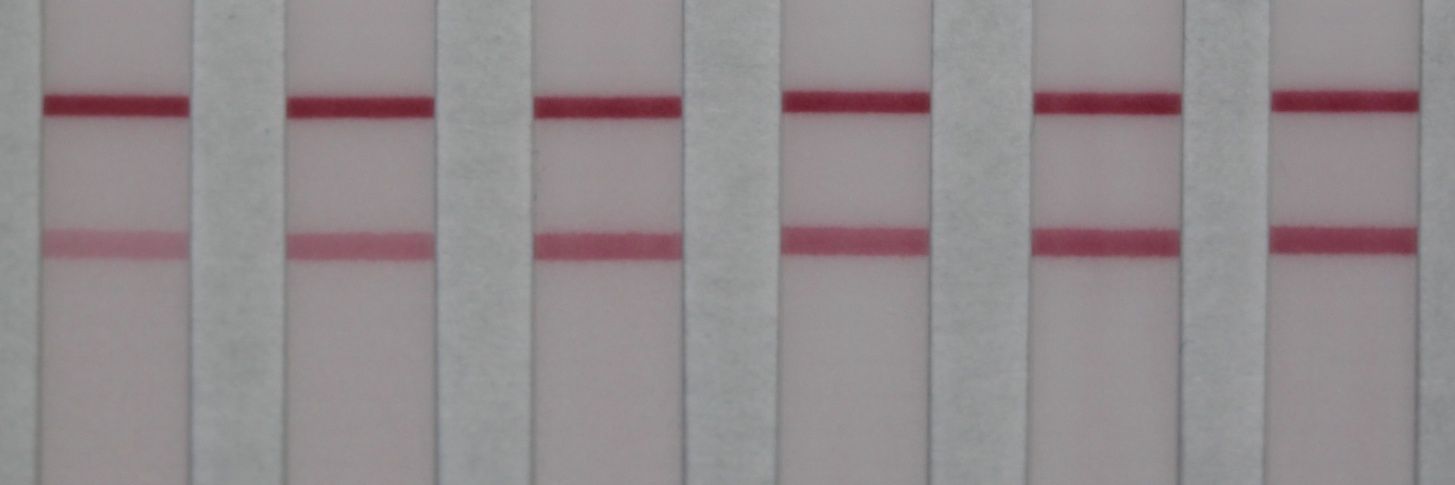 Dr Kristin Cederquist 🧬 banner