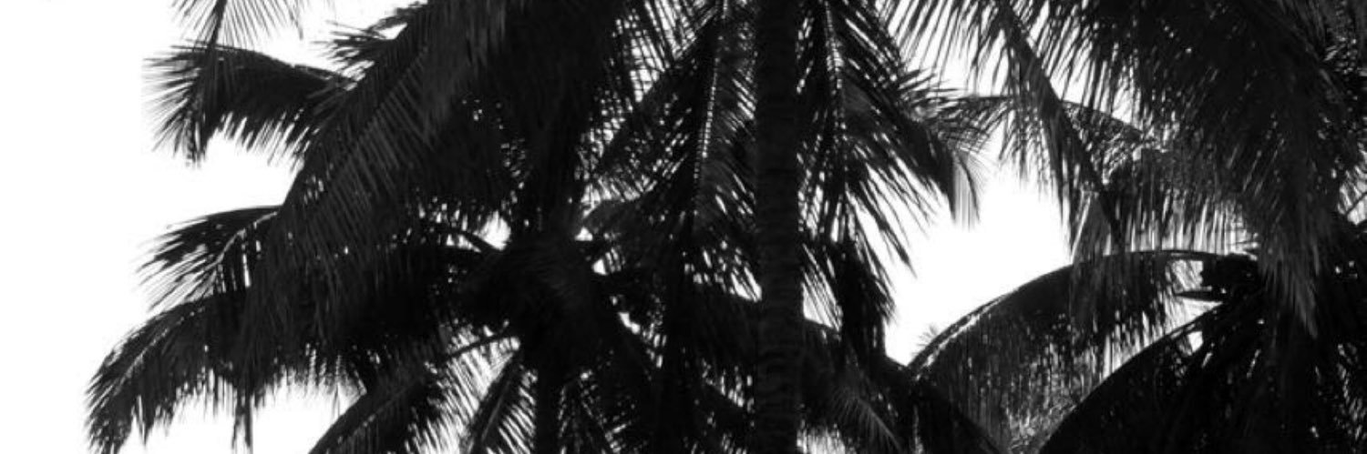 naturalbrncutee's profile banner image