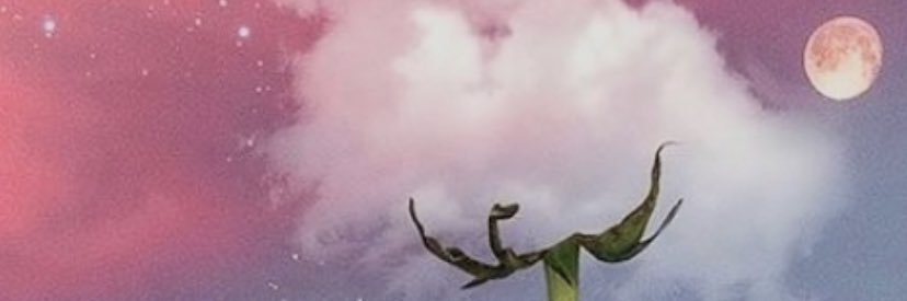 Msnettt's profile banner image