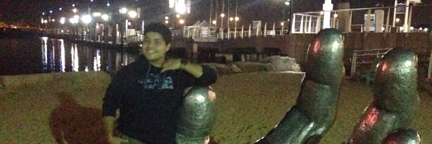 yujupacheco's profile banner image