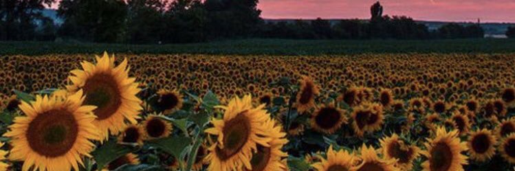 BigLexi__'s profile banner image