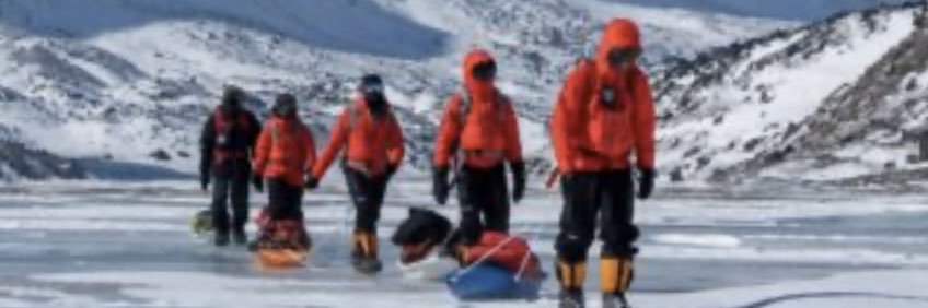 BrainyLeaders's profile banner image