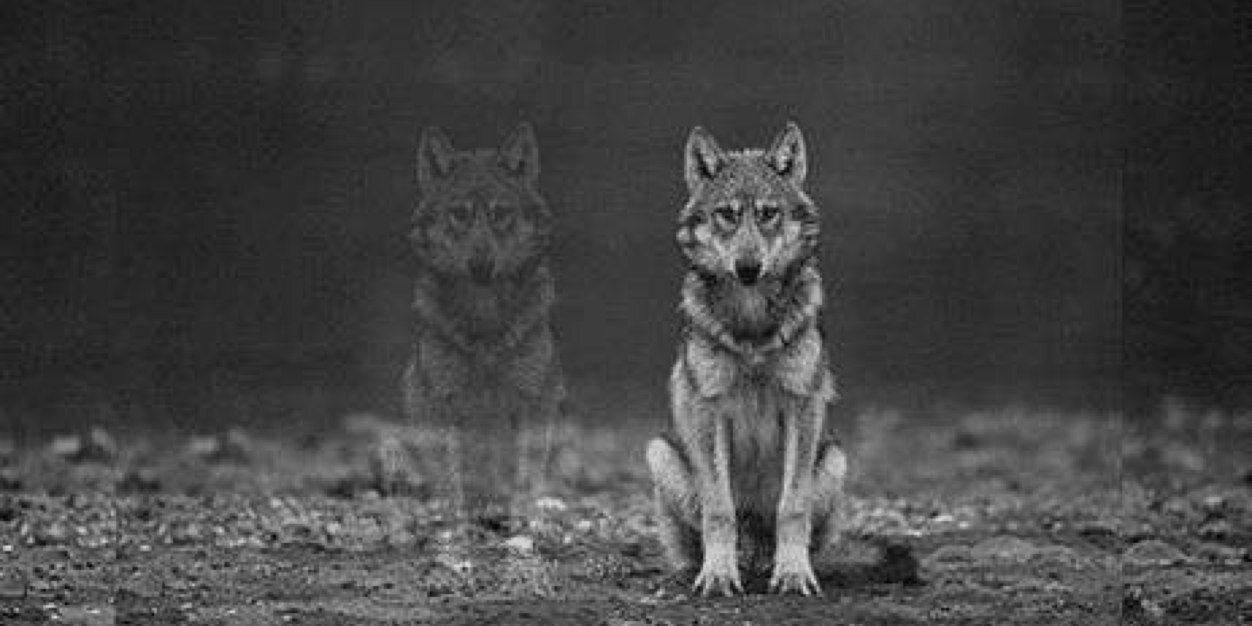 . banner