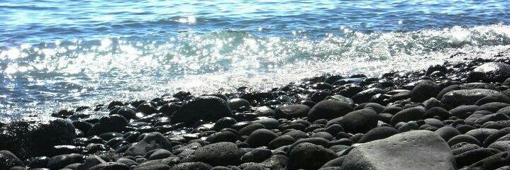 RicoRicoRocio's profile banner image