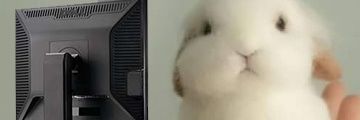 Azixel's profile banner image