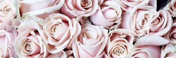 shellll_xo's profile banner image