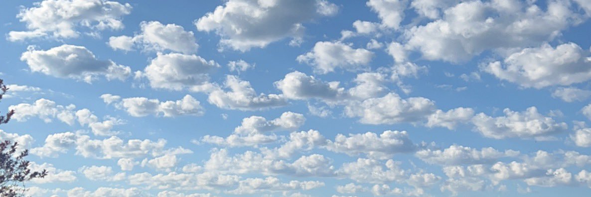 FurlongRyleigh's profile banner image