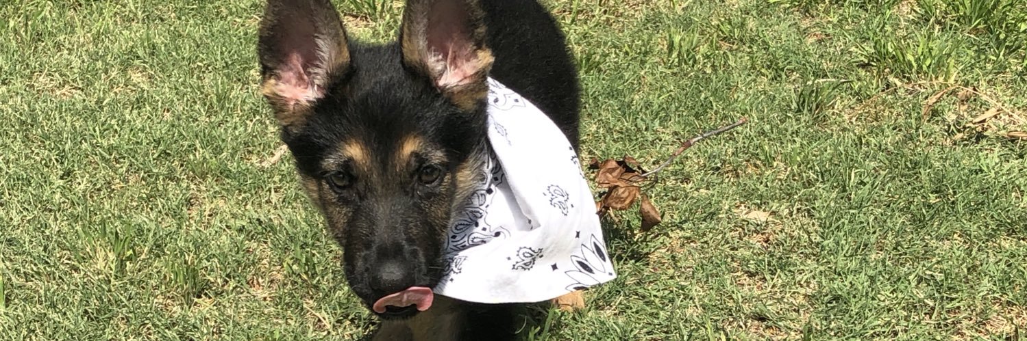 evan_fl0's profile banner image