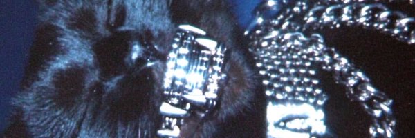 DollPrincy Profile Banner