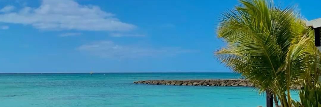 ǝๅๅıɔsıɹd🩷 banner