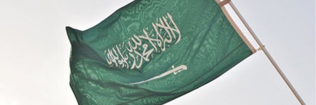 NsreenTurki's profile banner image