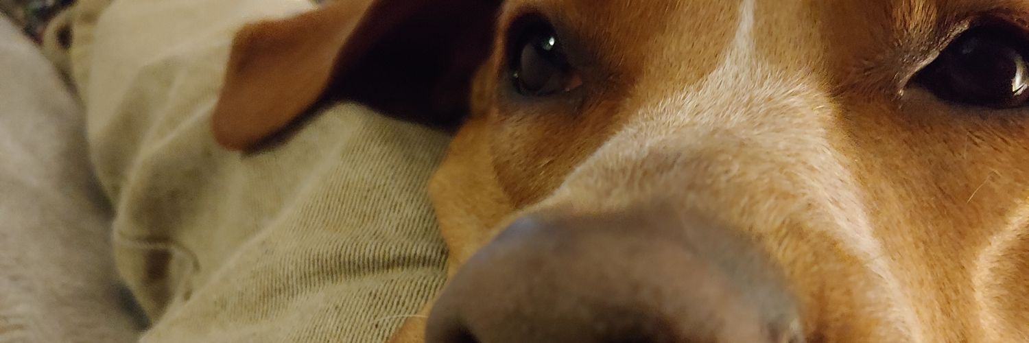 fullycooley's profile banner image