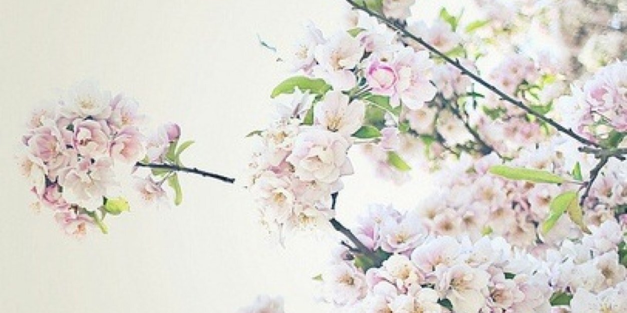 Kittyperry_'s profile banner image