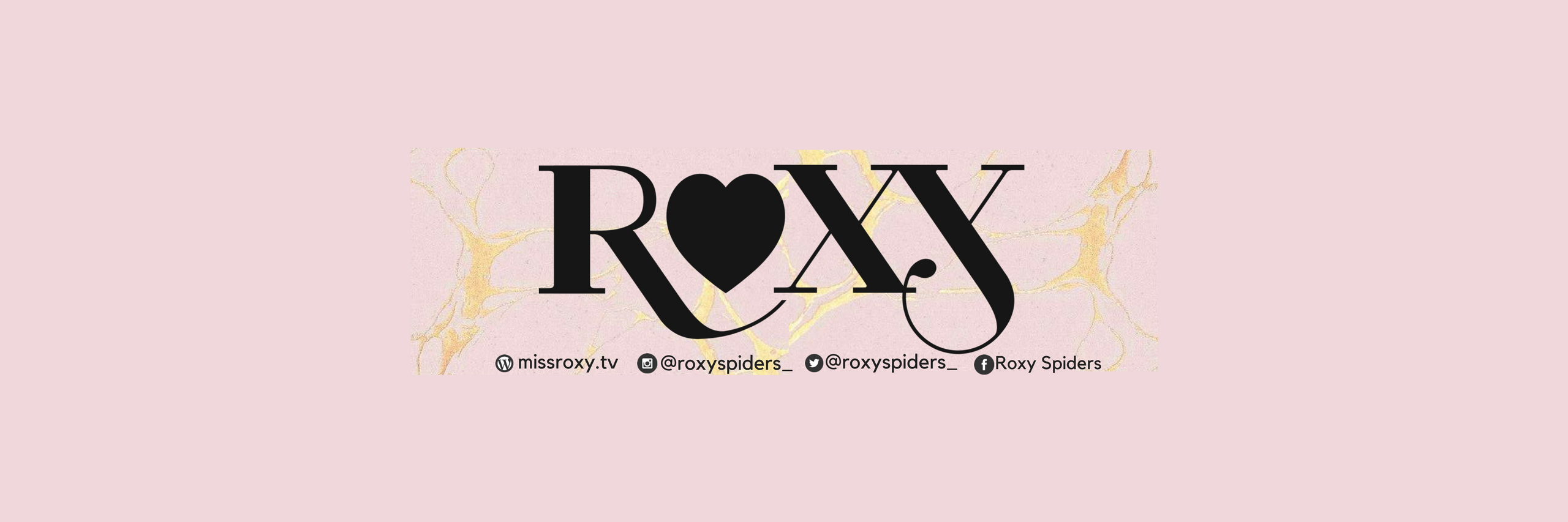 roxyspiders_'s profile banner image