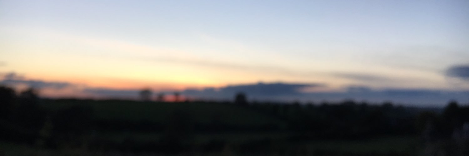 PhoebeCarson's profile banner image