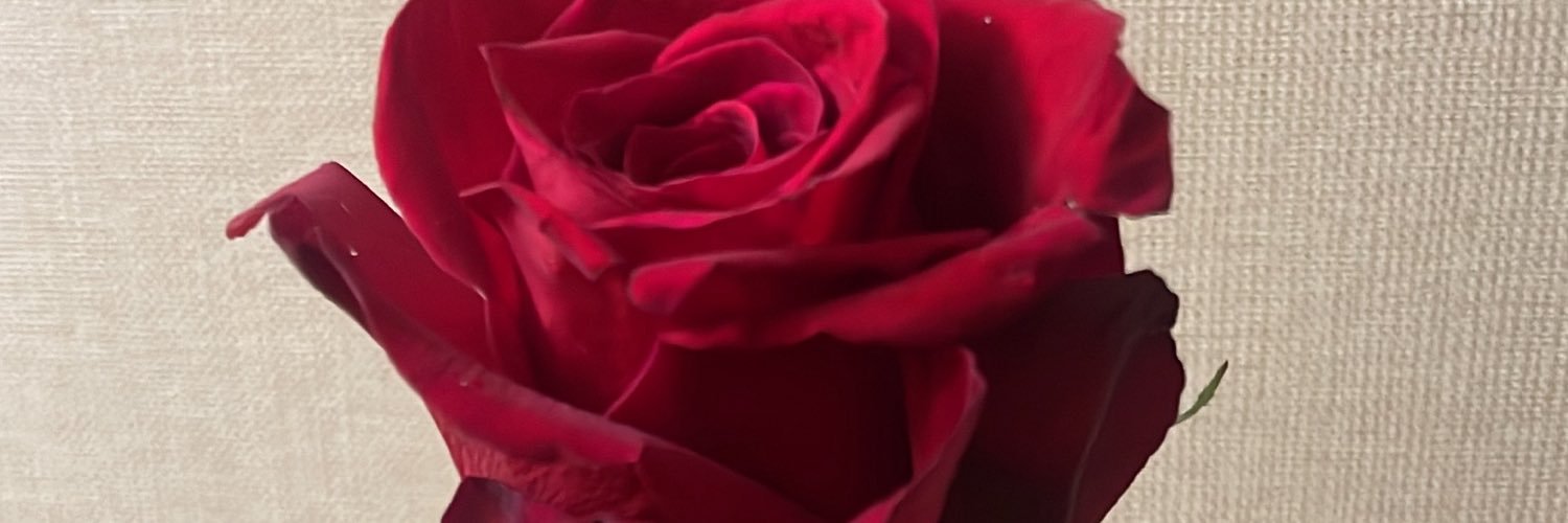 thaiselita_'s profile banner image