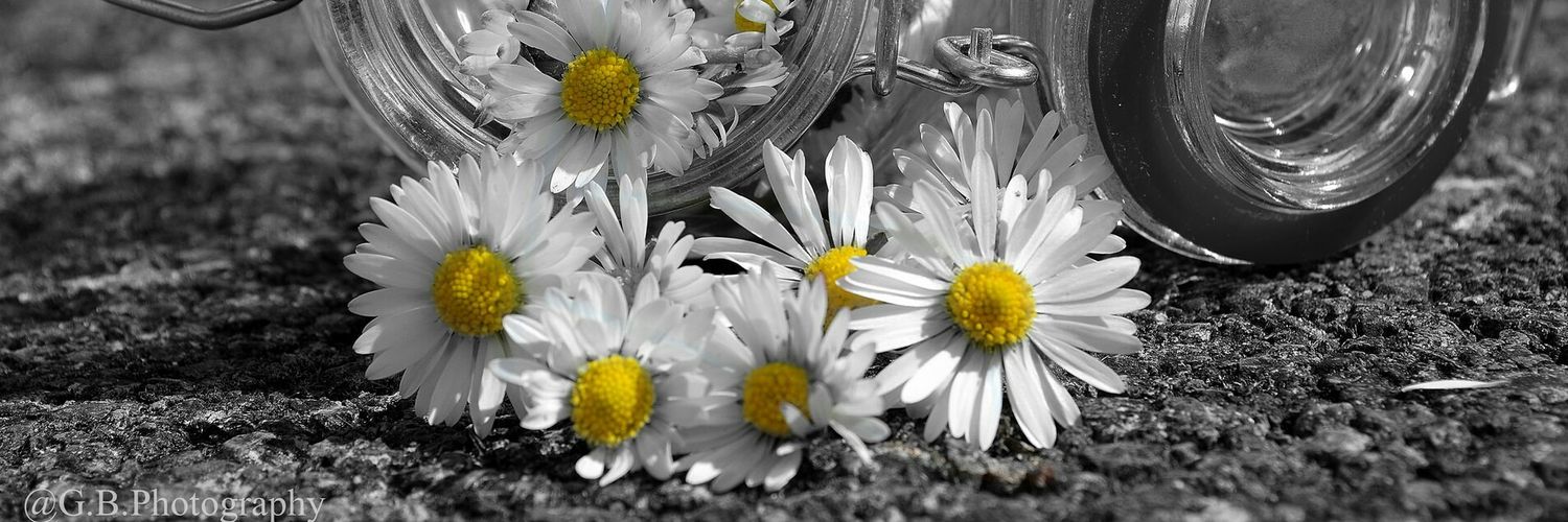 MartiFoschetti's profile banner image