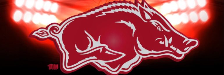 hogwildbob's profile banner image
