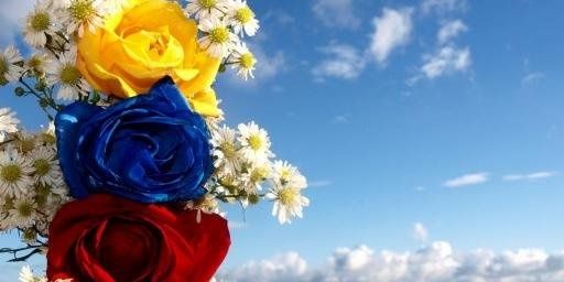 nereyda65's profile banner image