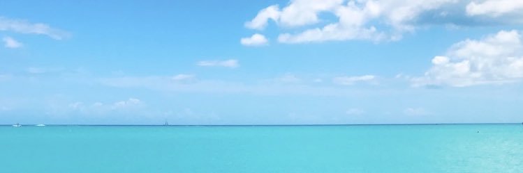 Ann_Ward97's profile banner image