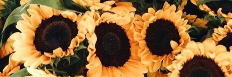 BrookeRobertso3's profile banner image