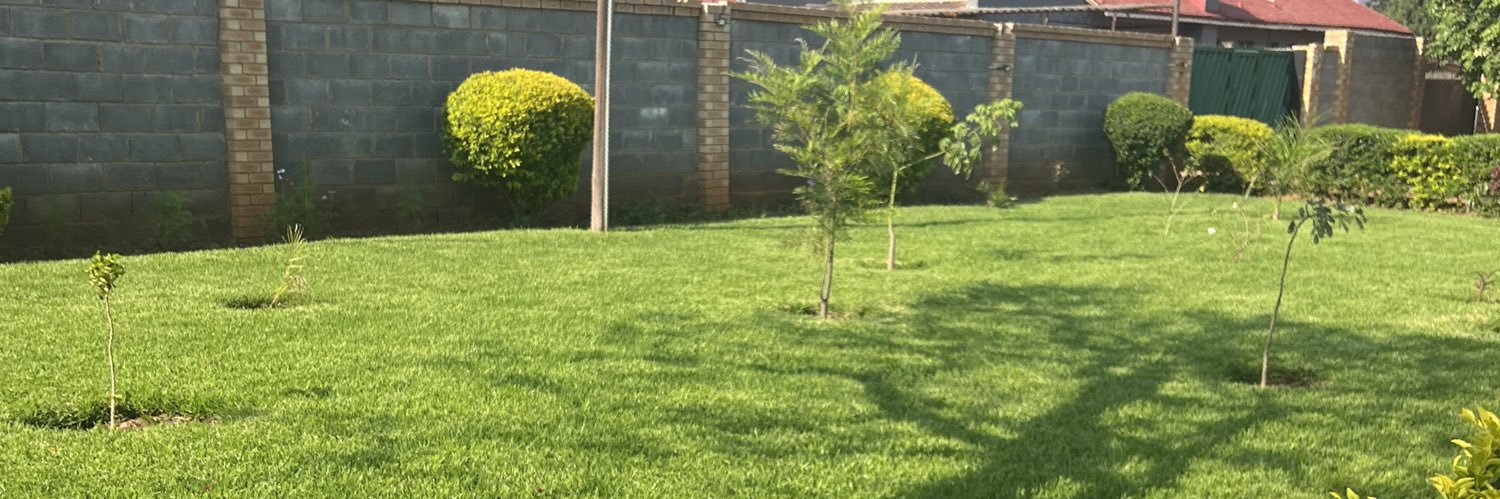 lovingZimbo's profile banner image
