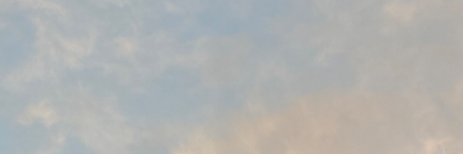 1laynesales's profile banner image