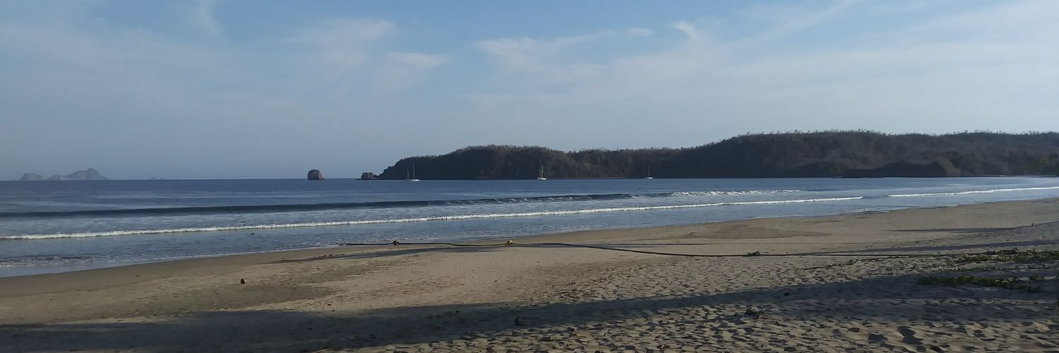 Susi S. banner