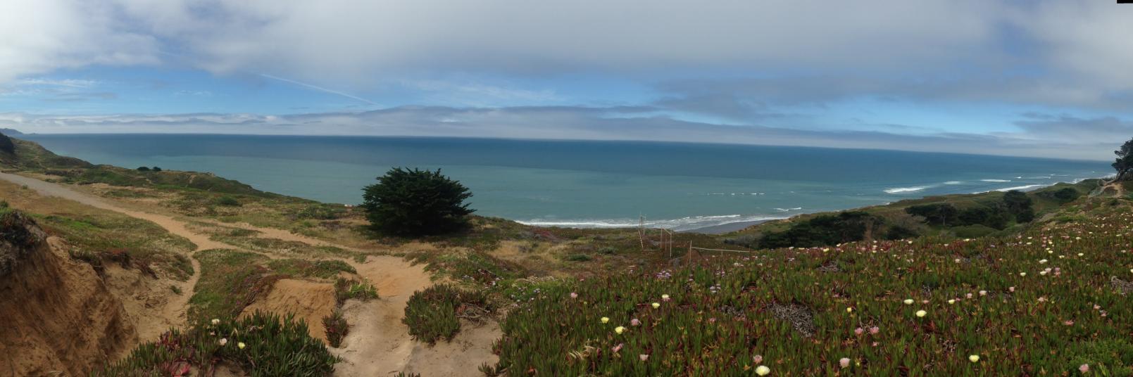 dvssf's profile banner image