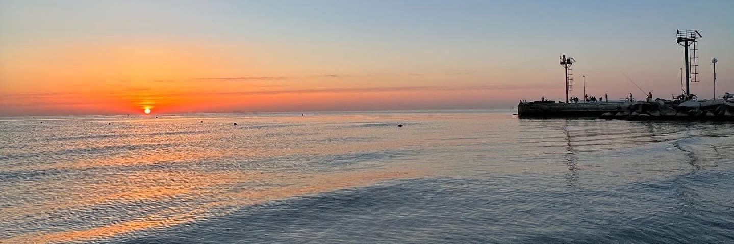 LisaSchianchi's profile banner image