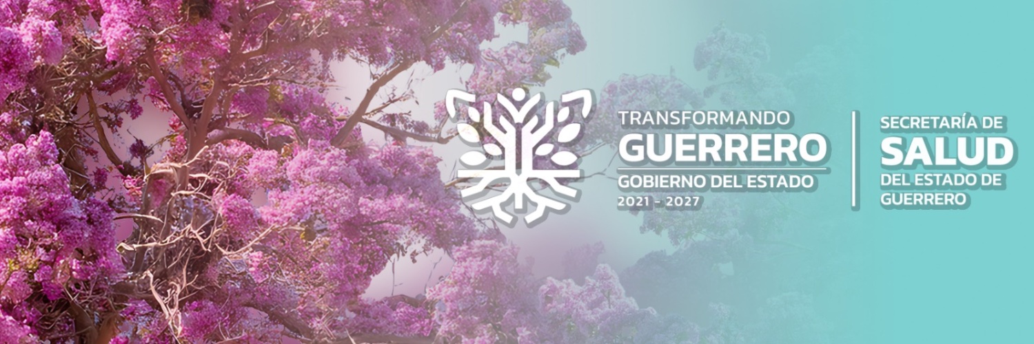 Salud Guerrero banner
