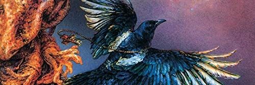 ID IE IE IN O banner