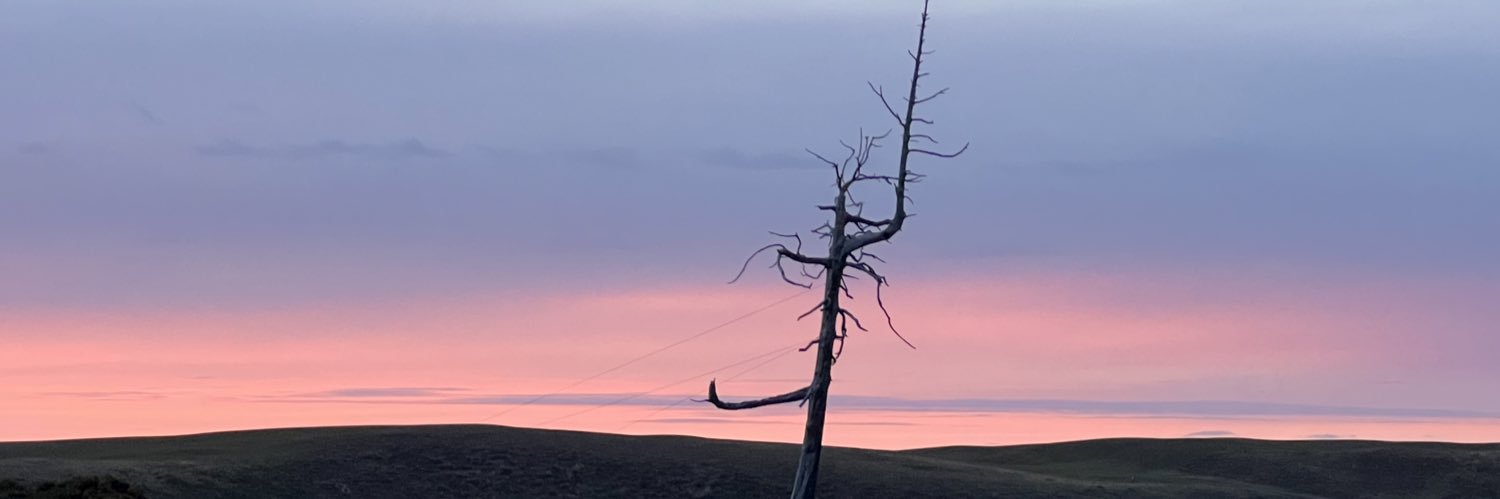 Egger83's profile banner image