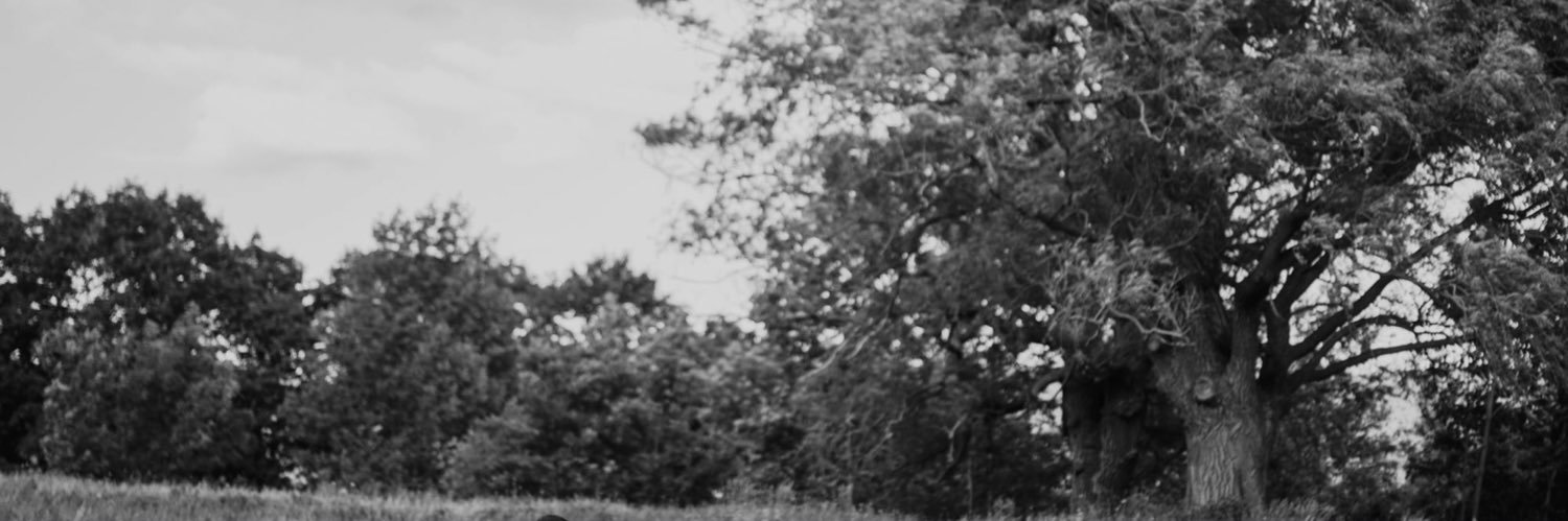 DehliaP's profile banner image