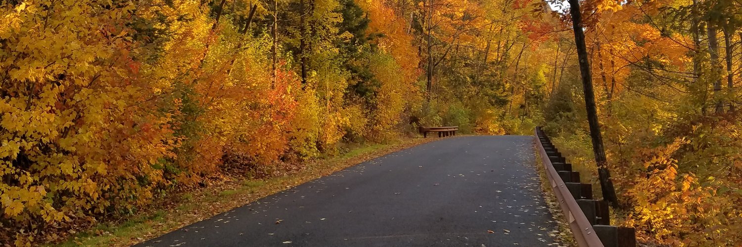 MassDCR's banner