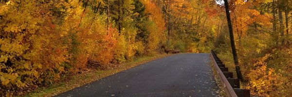 MassDCR Profile Banner